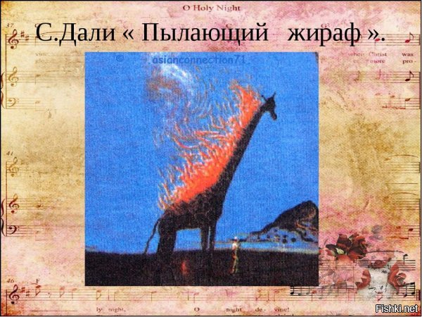 Солянка от 21.01.2020