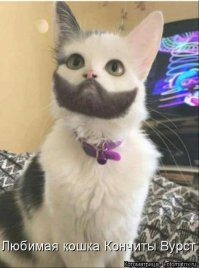 С "усами и с бородой"...