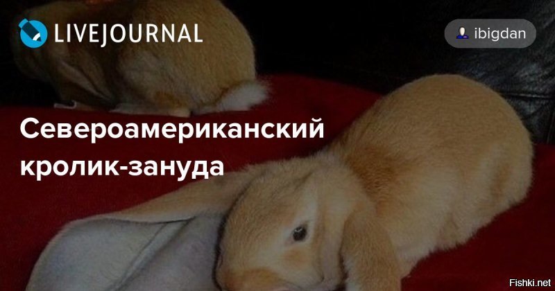 Папа знатный ходок был!