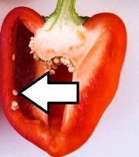 А это не зернышко перца?