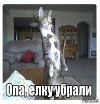 Прикольные и смешные картинки