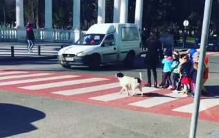 Видимо, пропускать пешеходов не принято.
А, когда на переходе дети, то и даже скорость сбавлять не обязательно