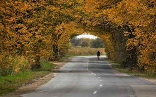 В Калининградской области.