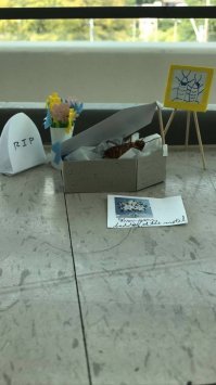 Наш таракан