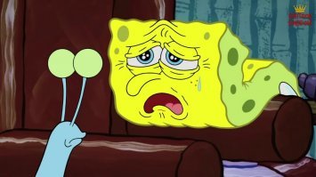 Прикольные и смешные картинки