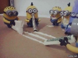 Интересные фото