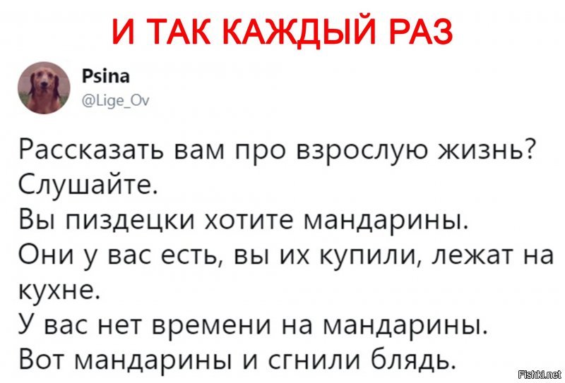 Прикольные и смешные картинки