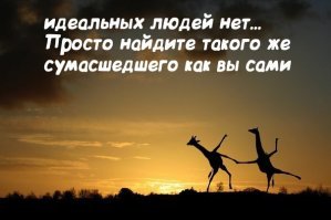 Прикольные и смешные картинки