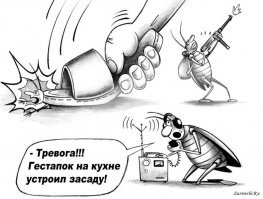 Наш таракан