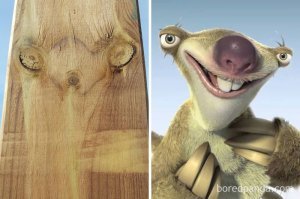 «Ледниковый период» глазами взрослого человека