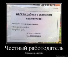 Воронежская вакансия стала лидером во всероссийском рейтинге необычных профессий