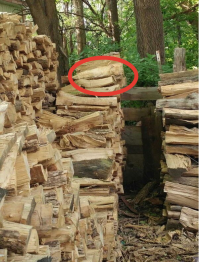 Всё в разнобой