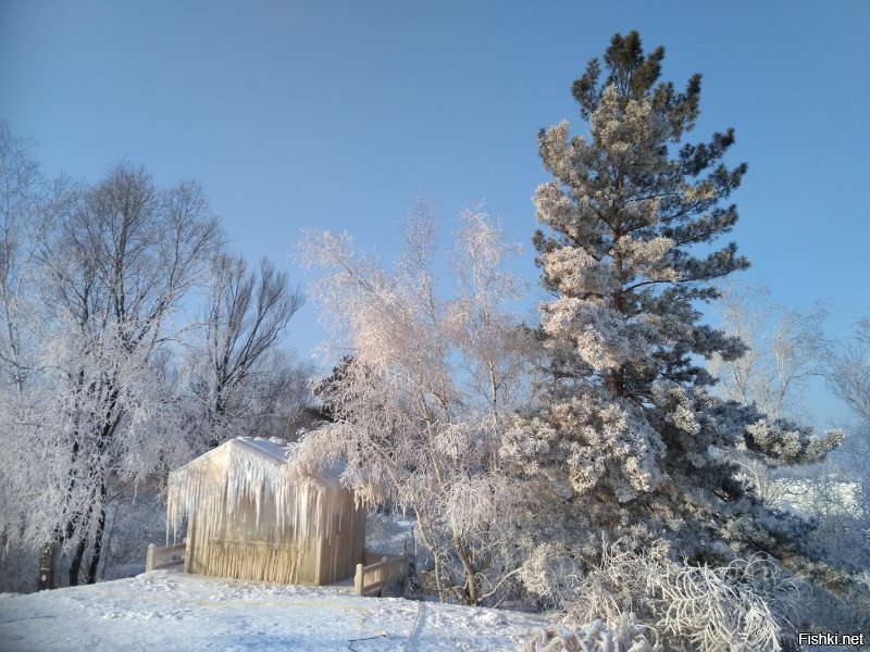 Солянка от 22.01.2020
