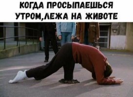 Пауки загрызли!!