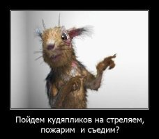 30 очаровательных и забавных белок с человеческими эмоциями