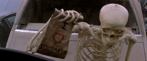 "Надо было купить белку!" )