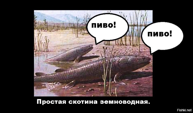 Дык эволюция-то для чего )