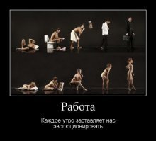 Прикольные и смешные картинки