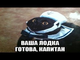 Салат со шпинатом без майонеза