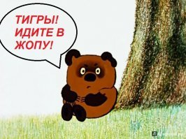 Медведь воспользовался проверенной тактикой и отогнал от себя двух тигров