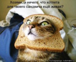 20 неожиданностей, которые произошли в российских столовых