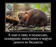 Прикольные и смешные картинки