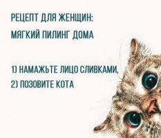 А ещё был случай, когда девки мазали другое место, но только не сливками, а валерьянкой. Не знаю, как рецепт называется.