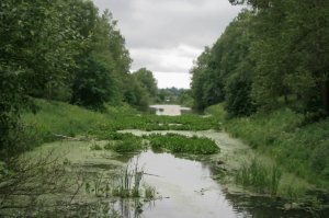 Староладожский канал. К началу 18 века являлся крупнейшим гидротехническим сооружением в европе. Длинна 117км, начало строительства в 1719, окончание в 1730. К 1826 обмелел и пришел в ветхость. В 1861 паралельно ему был построен Новоладожский канал, строительство заняло всего пять лет. После чего Староладожский канал был окончательно заброшен, зарос и заболотился.