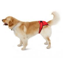 Всё давно придумано!