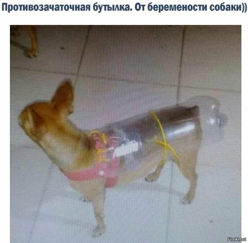 Смысл экономить на любимой собаке 450 рублей?