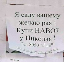 Забавные вывески и объявления