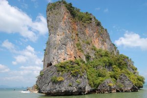 Надо это всё вживую видеть