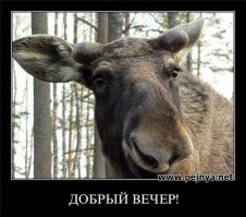 Пятничные демотиваторы