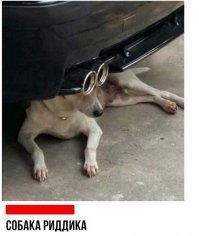 надо было эту брать))))