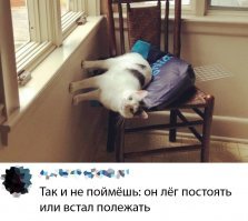 Этот просто огонь!!!!