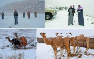 Вы это в Саудовской Аравии по потепление расскажите...