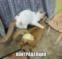 20+ полезных идей на все случаи жизни от умудренных опытом пользователей Сети