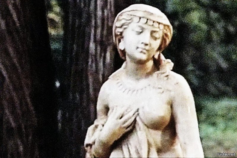 Не только коня снимали: