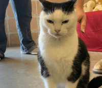 Как я её понимаю. Я тоже ненавижу, когда меня гладят, особенно именно на стыке шеи и спины. У меня ровно такое же лицо.