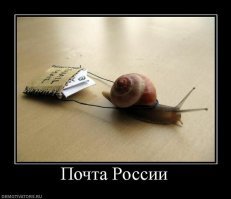 Прикольные и смешные картинки