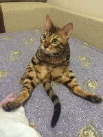 не наговаривай.