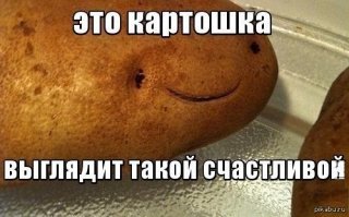 Прикольные и смешные картинки