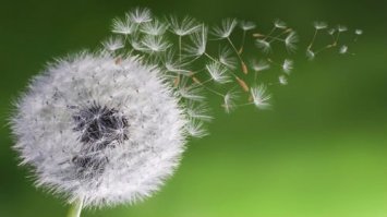 Веселая электростатика