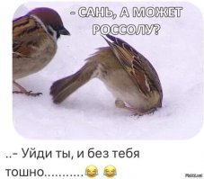 Субботний похмельный пост