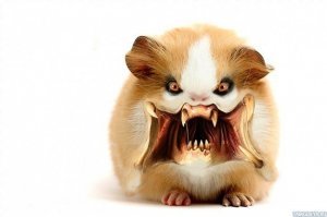 И не только мышей