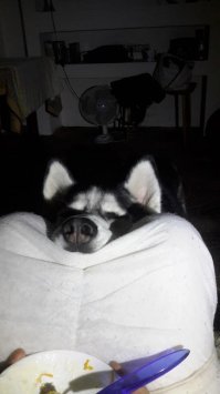 за моим завтраком пришел