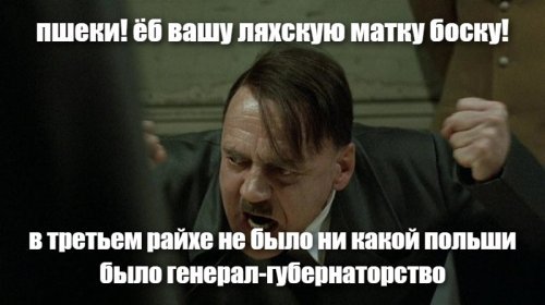 О заявлении лидера правящей партии Польши