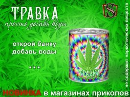 Как посадить зелень в банку