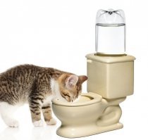 Да, хозяева те ещё оригиналы