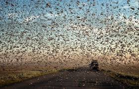 Поройся в ютьюбе за прошлый год. Астрахань, Калмыкия, Кавказ , Волгоград